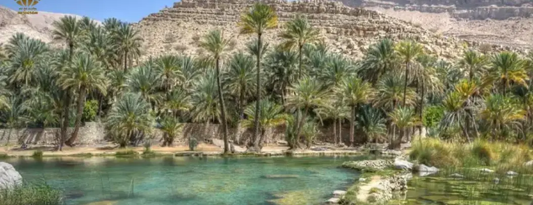 جاذبه-های-گردشگری-تور-عمان.webp